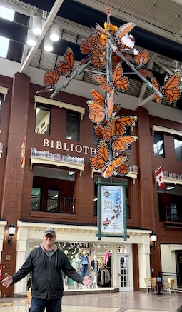 monarch butterfly